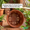 10-inch Plastic Pots for Garden