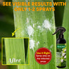 Mealy Bug Spray