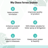 Ferrous Sulphate