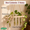 3 Hole Hanging test Tube Planter
