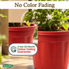 10-inch Plastic Pots for Garden