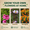 DIY Flower Grow Kit