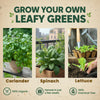 Leafy Green Grow Kit