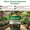 Gypsum Meal Fertilizer