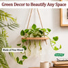 3 Hole Hanging test Tube Planter