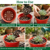 Succulent & Cacti Potting Mix