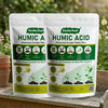 Humic Acid Flakes