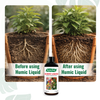 Humic Acid Liquid