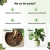 Indoor Plant Fertilizer