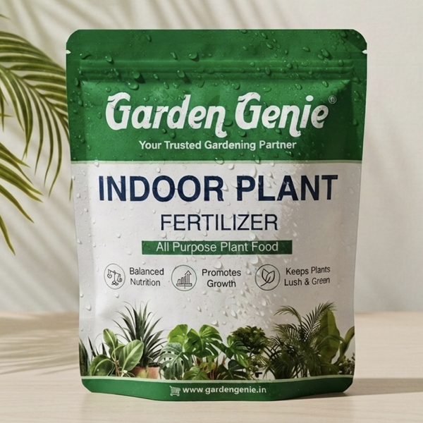 Indoor Plant Fertilizer
