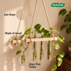 3 Hole Hanging test Tube Planter