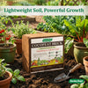 Cocopeat Block