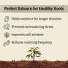 Cocopeat Block