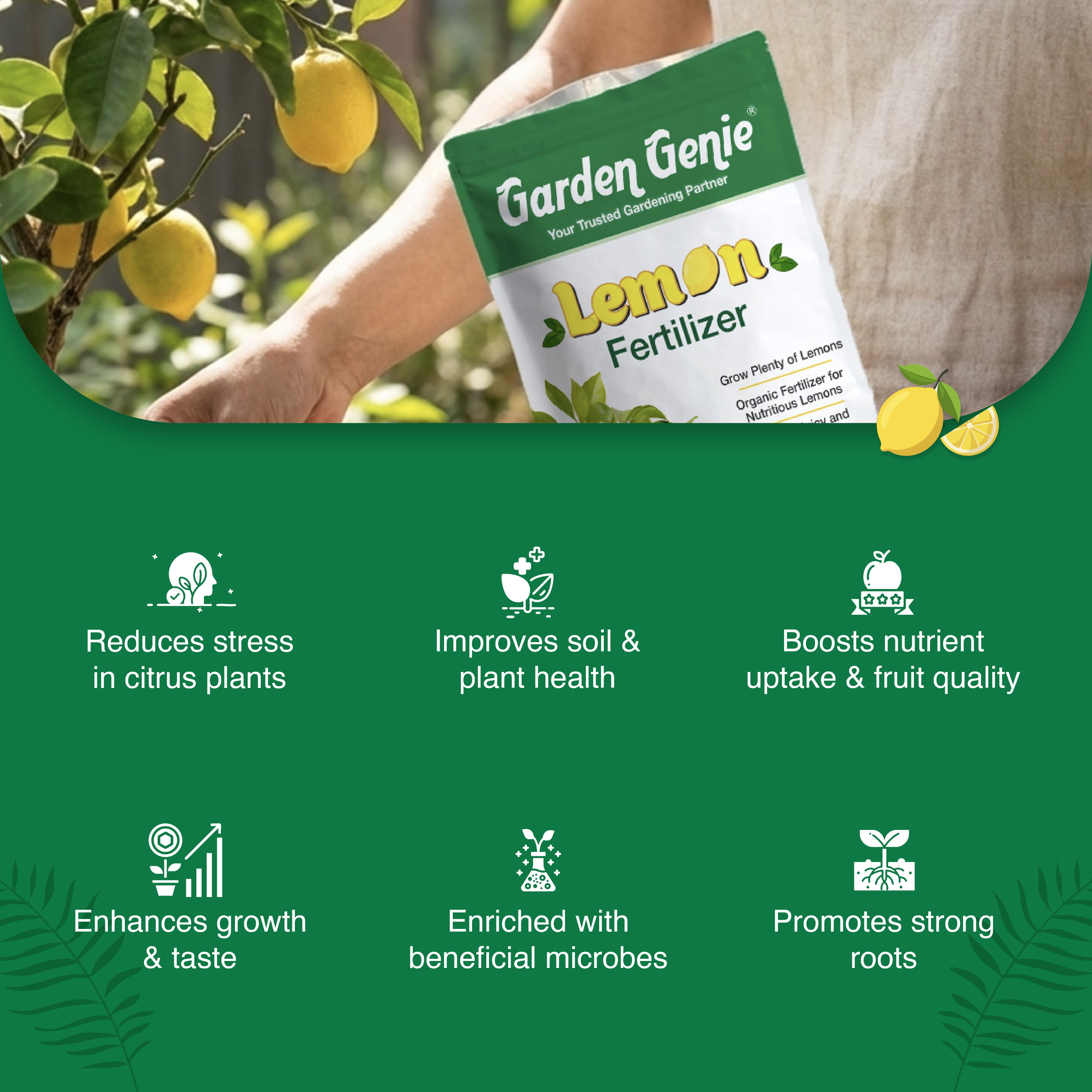 best fertilizer for lemon plant Lemon Fertilizer – Hydro Farm Technologies Private Limited