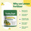 Lemon Fertilizer