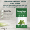 Long Lettuce Romaine Seeds