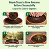 Long Lettuce Romaine Seeds