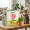 DIY Cat Grass Grow Kit
