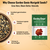 Marigold Flower Seeds
