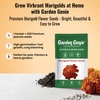 Marigold Flower Seeds
