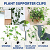 Plant Supporter Clips for Climbers, Creepers & Money Plant