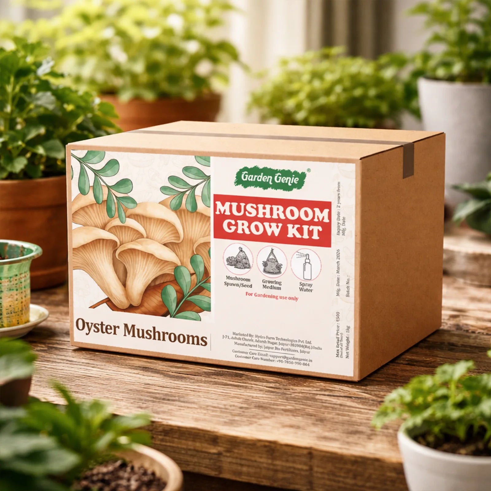Mushroom Grow Kit