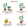 Mustard Cake Powder