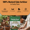 Mustard Cake Powder