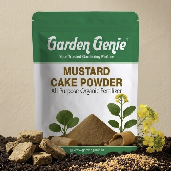 Mustard Cake Powder