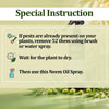 Neem Oil Spray