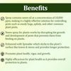 Neem Oil Spray