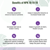 NPK 19 19 19 Fertilizer