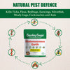 Diatomaceous Earth Eco Magic Dust