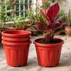 6-inch Plastic Pots for Garden