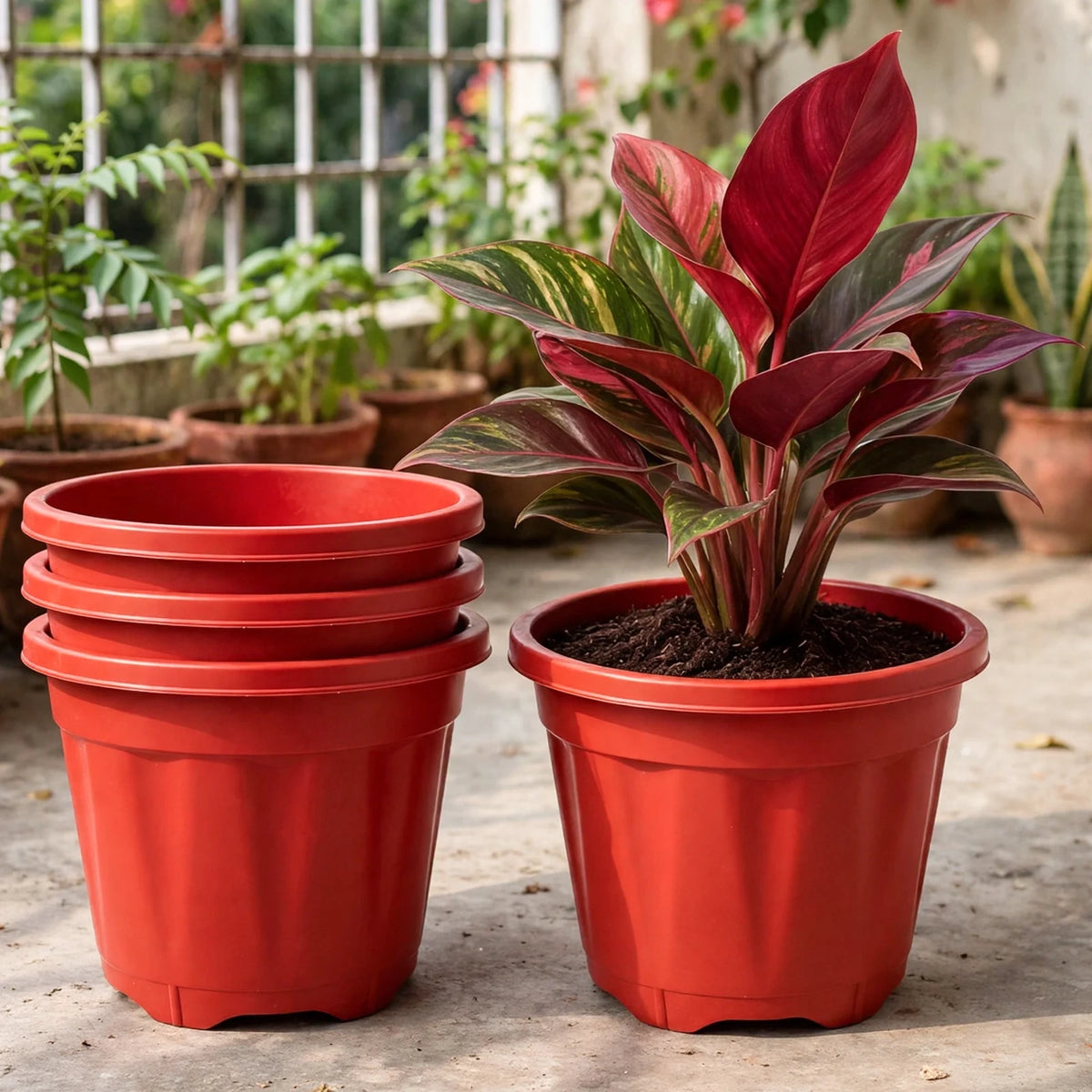 6-inch Plastic Pots for Garden