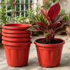 6-inch Plastic Pots for Garden