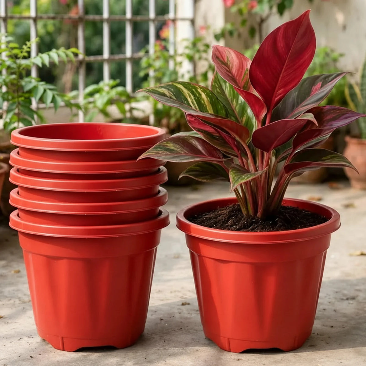 6-inch Plastic Pots for Garden