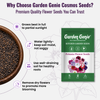 Petunia Flower Seeds