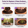 Petunia Flower Seeds