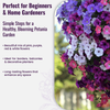 Petunia Flower Seeds
