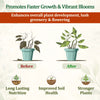 Organic Growth Booster Granules