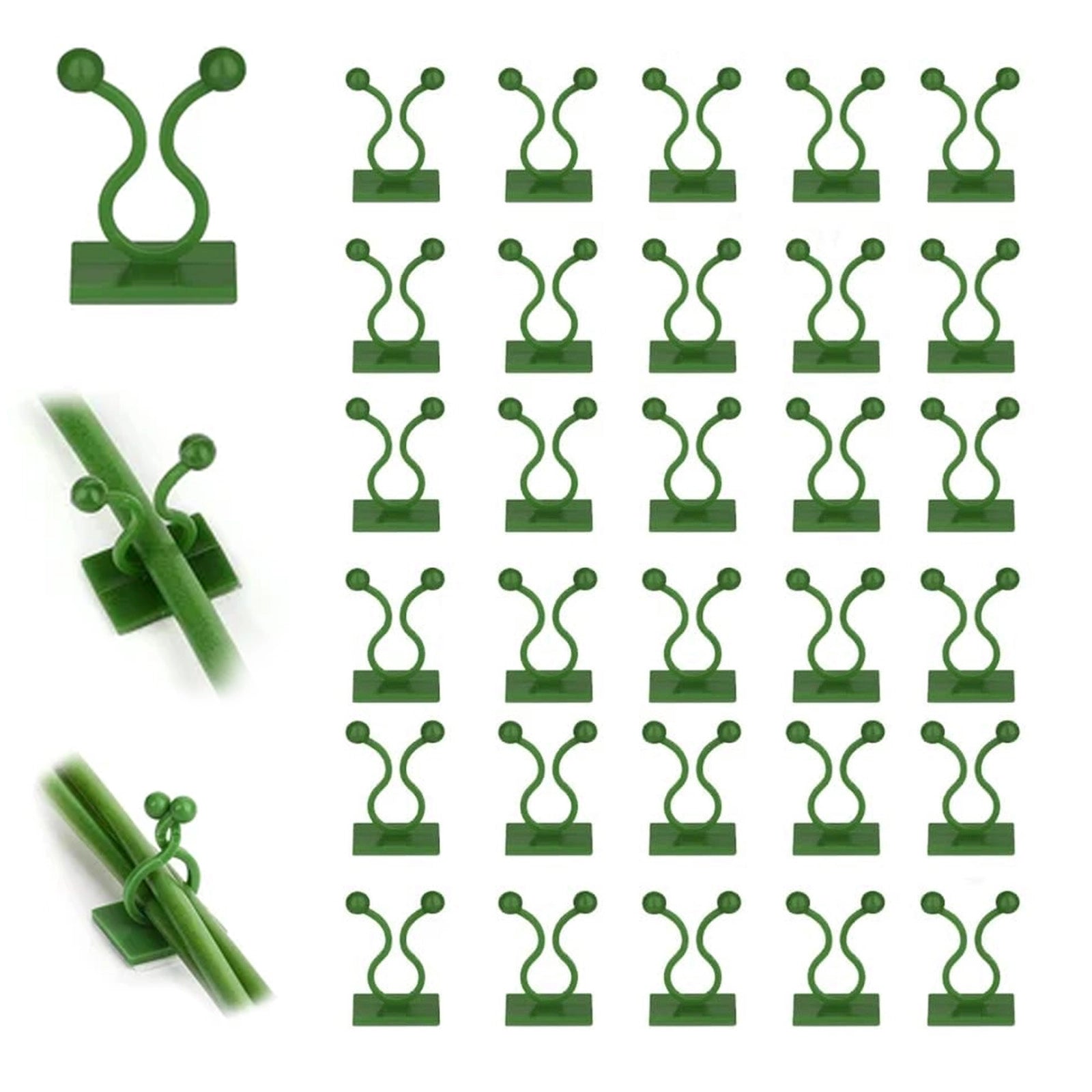 Plant Supporter Clips for Climbers, Creepers & Money Plant