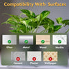 Plant Supporter Clips for Climbers, Creepers & Money Plant