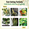 Plant Boost Liquid Biofertilizer