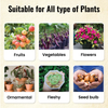 Plant Boost Liquid Biofertilizer