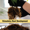 Plant Boost Liquid Biofertilizer