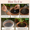 Plantable Evil Eye Seed Rakhi