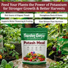 Potash Meal