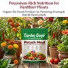 Potash Meal
