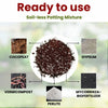 Organic Potting Mix